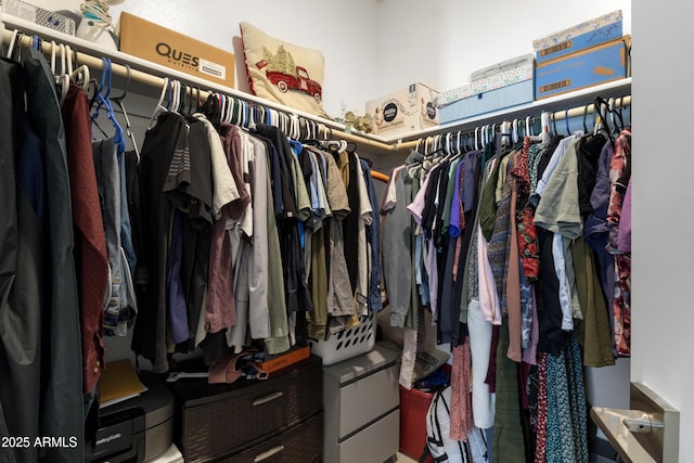 view of spacious closet