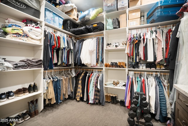 walk in closet featuring carpet