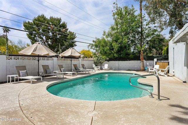 14802 N 3rd Ave, Phoenix, AZ 85023 - view of swimming pool featuring a fenced backyard, a fenced in pool, and a patio area