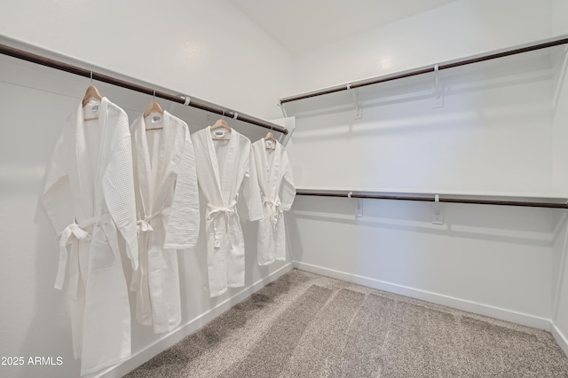 spacious closet with carpet floors