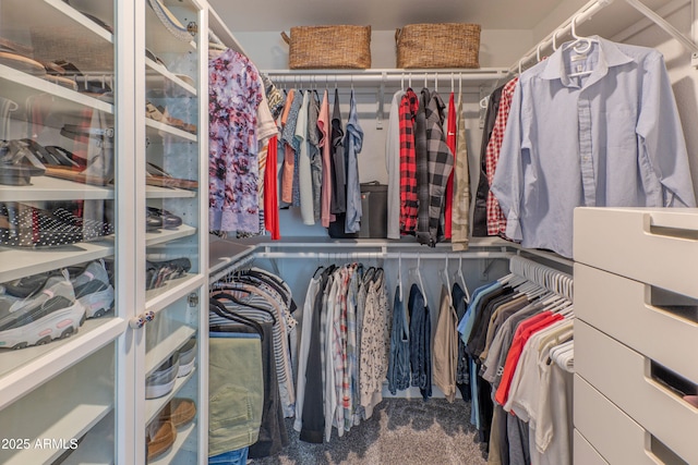 spacious closet with carpet flooring