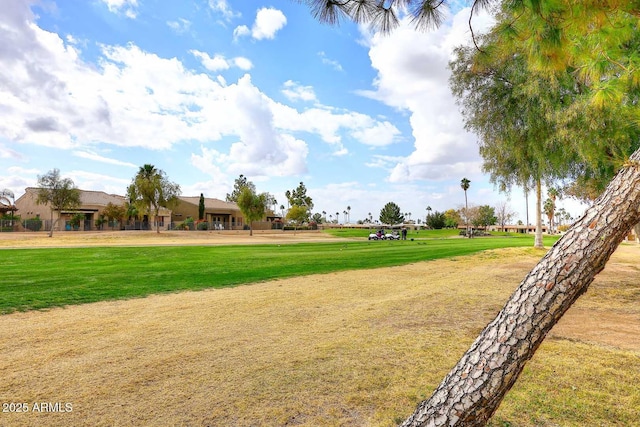 surrounding community featuring a yard