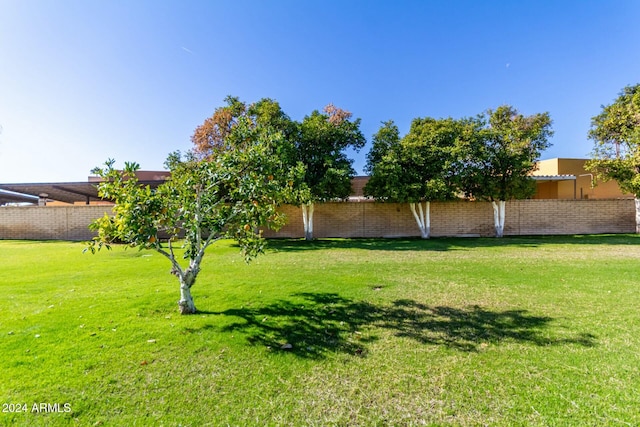 view of yard
