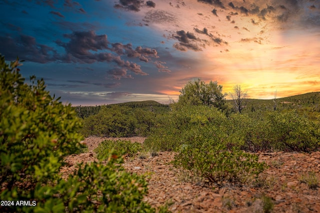 817 Wildcat Trail S 116 &117, Show Low AZ, 85901 land for sale