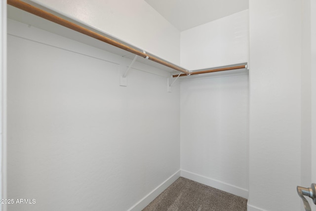 walk in closet featuring carpet