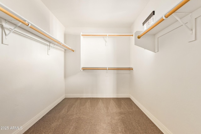 3443 E Jasper Dr, Gilbert, AZ 85296 - walk in closet with carpet