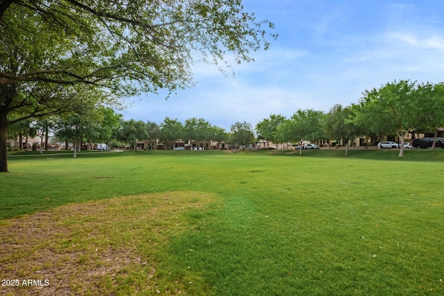 3443 E Jasper Dr, Gilbert, AZ 85296 - surrounding community with a lawn