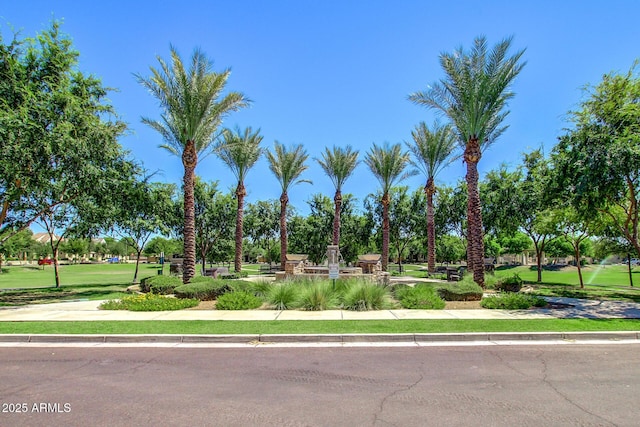 3443 E Jasper Dr, Gilbert, AZ 85296 - view of community