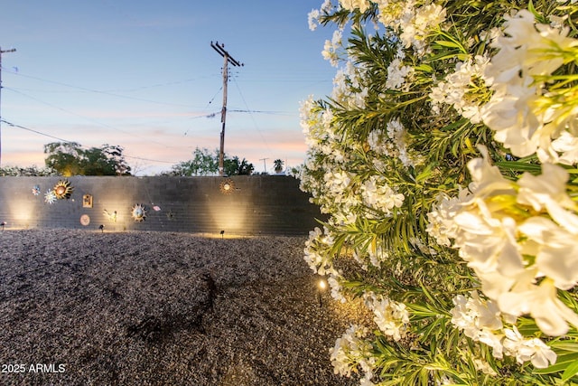 2129 W Indianola Ave, Phoenix, AZ 85015 - view of yard at dusk