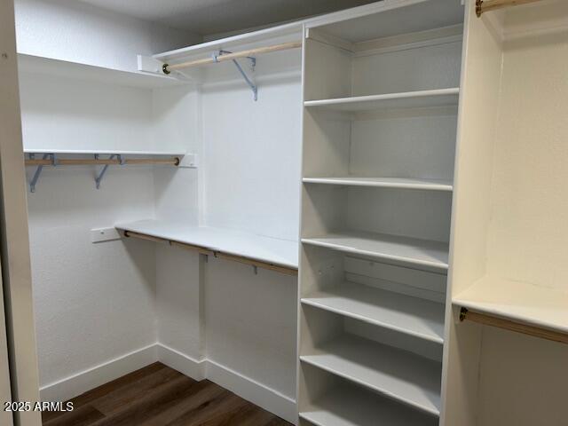 spacious closet featuring dark wood-style floors