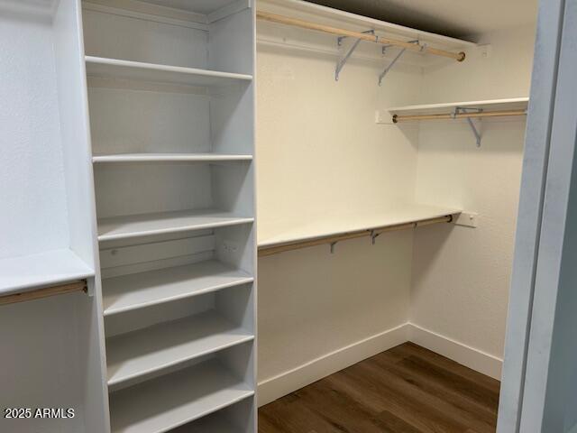 walk in closet featuring dark wood-type flooring