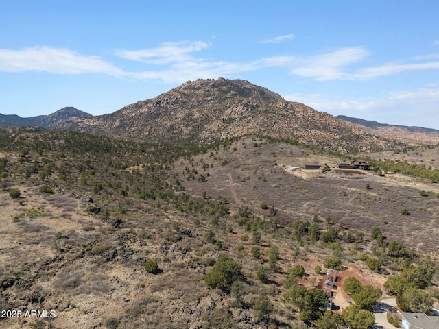 view of mountain feature