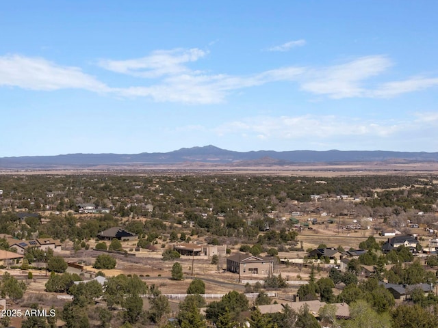 view of mountain feature