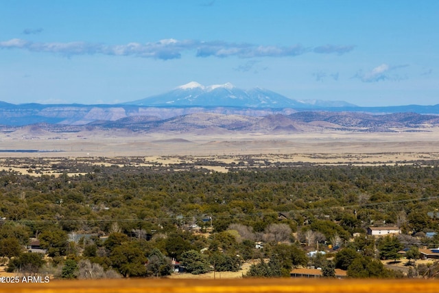 view of mountain feature with a forest view