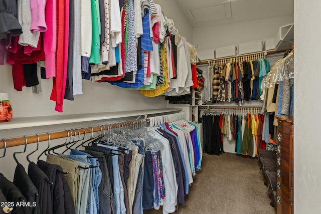 spacious closet featuring attic access and carpet flooring