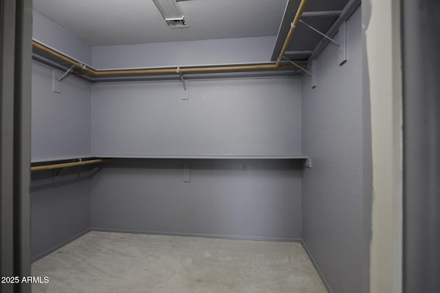 spacious closet with light carpet