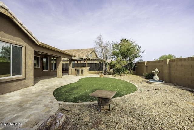 view of yard with a patio and a fenced backyard