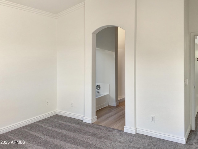 empty room with crown molding and light carpet