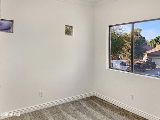 carpeted spare room featuring crown molding