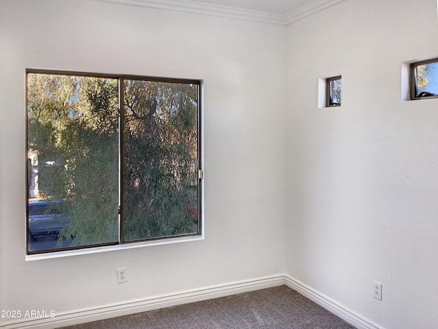 carpeted spare room featuring ornamental molding