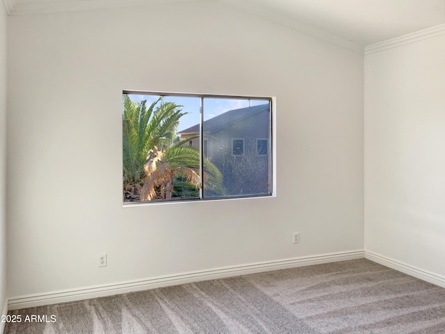 empty room featuring carpet floors and ornamental molding