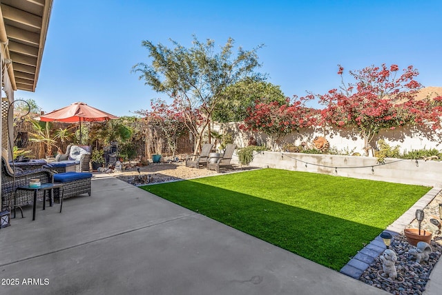 view of yard with a patio and a fenced backyard