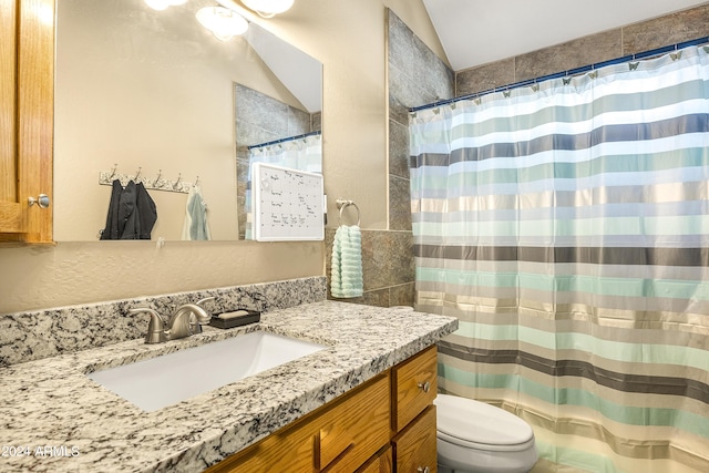 4371 E Savannah Cir, Flagstaff, AZ 86004 - bathroom featuring toilet, a shower with curtain, vanity, and vaulted ceiling