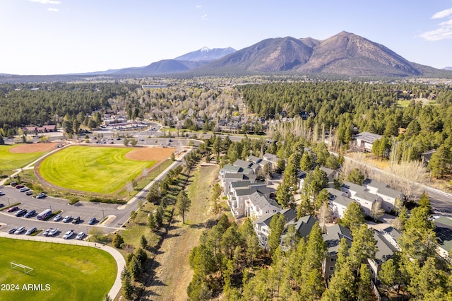 4371 E Savannah Cir, Flagstaff, AZ 86004 - aerial view with a mountain view and a forest view