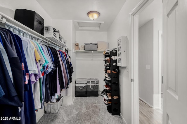 walk in closet featuring attic access and carpet