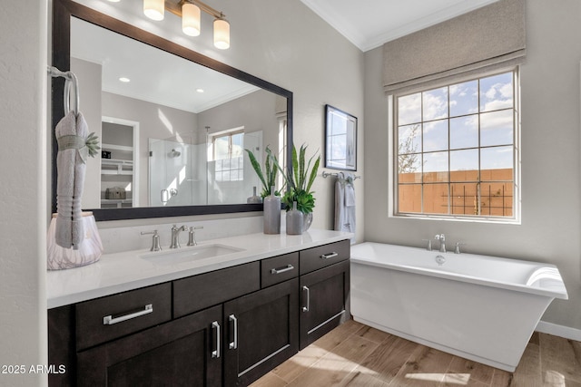 1145 E Gleneagle Dr, Chandler, AZ 85249 - full bathroom with ornamental molding, vanity, a shower stall, a soaking tub, and wood finished floors