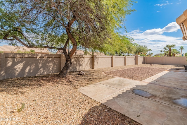 view of yard with a patio