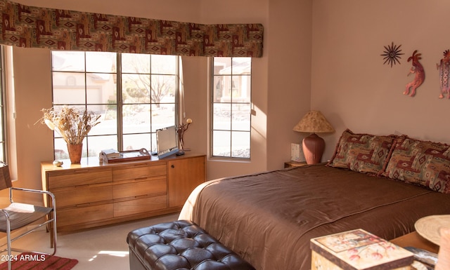 view of carpeted bedroom