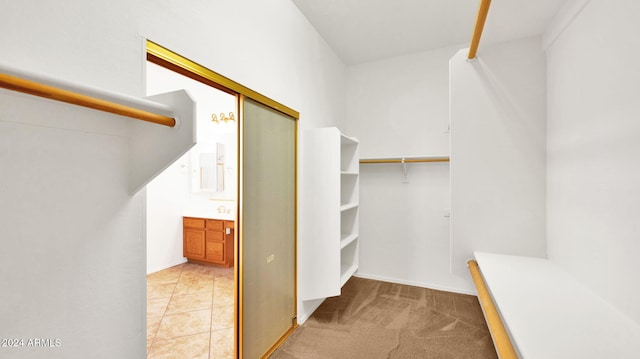 spacious closet with light carpet