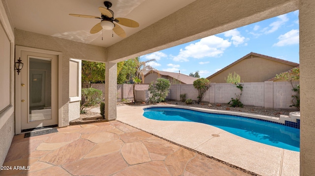 view of swimming pool with a patio area and ceiling fan