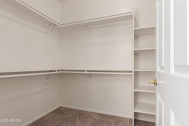 spacious closet with carpet flooring