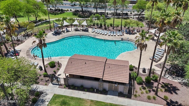 17461 W Molly Ln, Surprise, AZ 85387 - community pool with a patio area