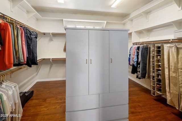 walk in closet with dark hardwood / wood-style flooring