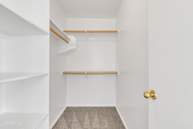 spacious closet with carpet