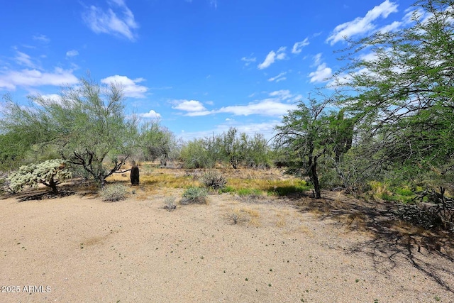 view of undeveloped land