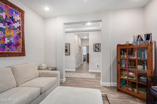 living room featuring light wood-type flooring