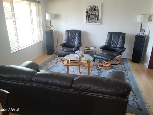 living room featuring light wood-type flooring