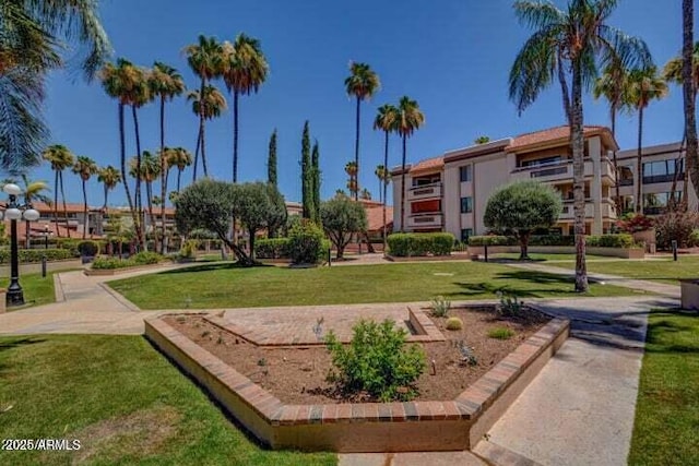 view of property's community featuring a lawn