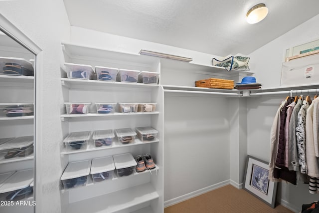 spacious closet with carpet