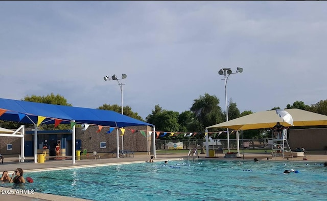 3741 W Poinsettia Dr, Phoenix, AZ 85029 - view of community pool