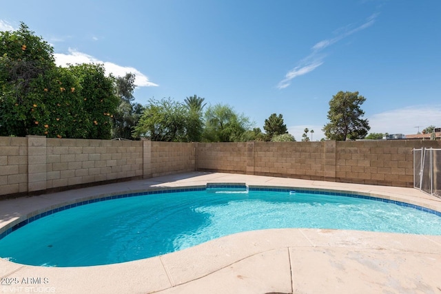 3741 W Poinsettia Dr, Phoenix, AZ 85029 - view of pool