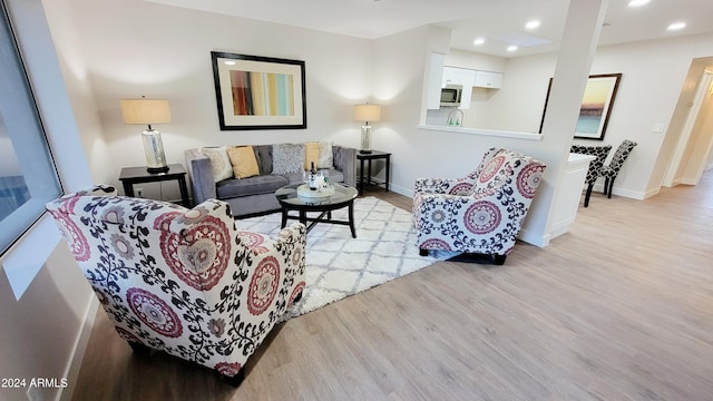 living room with light wood-type flooring