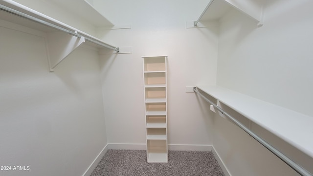 walk in closet featuring carpet