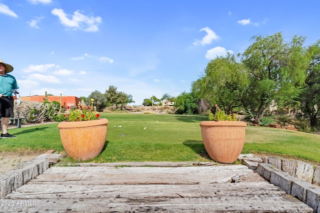 6145 E Snowdon St, Mesa, AZ 85215 - view of grassy yard