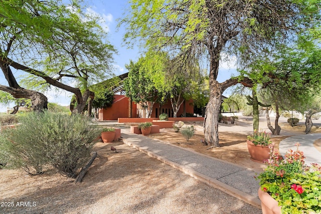 6145 E Snowdon St, Mesa, AZ 85215 - view of yard