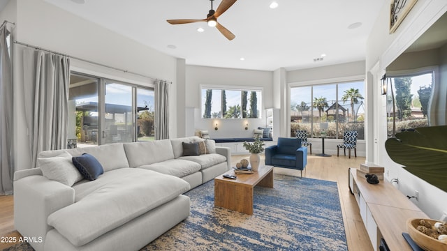 living room featuring ceiling fan and light hardwood / wood-style flooring